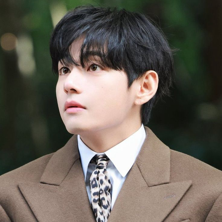 Momen yang diabadikan oleh penggemar V (BTS)