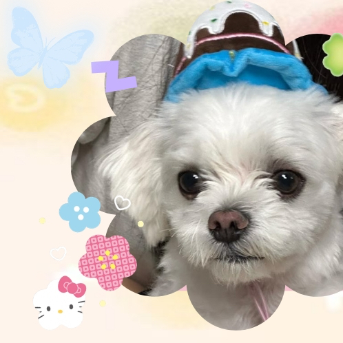 Behind-the-scenes cut of Yeri (Red Velvet)