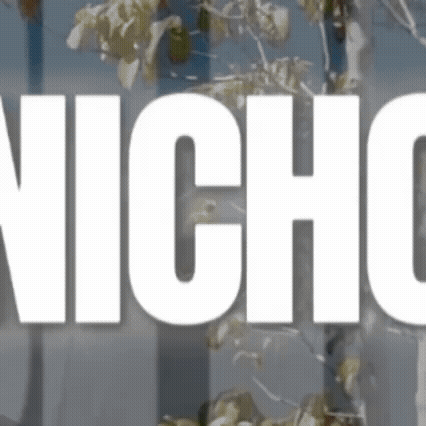 A moment captured by Nicholas (&TEAM)'s fan