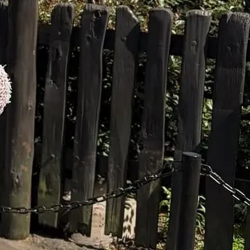 A moment captured by Jeong Yein (Lovelyz)'s fan