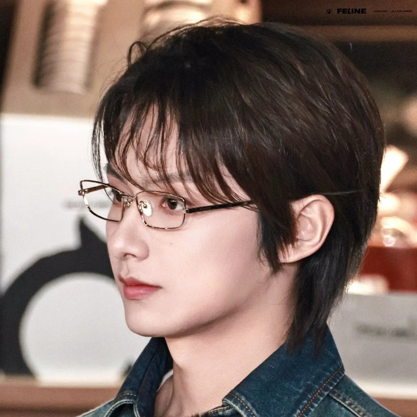 SEVENTEEN粉絲拍下的瞬間