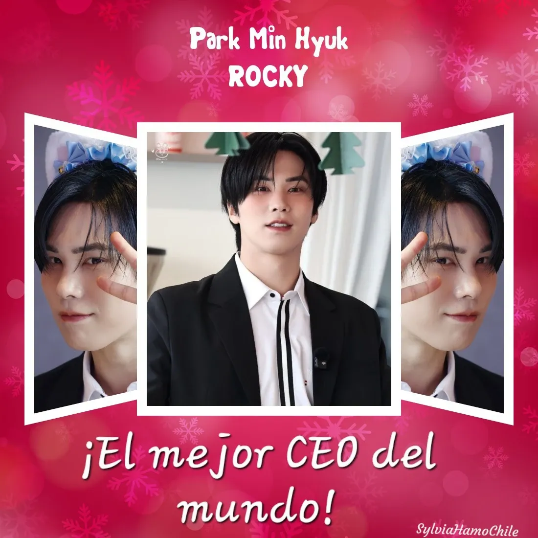 Recent activity shot of Rocky