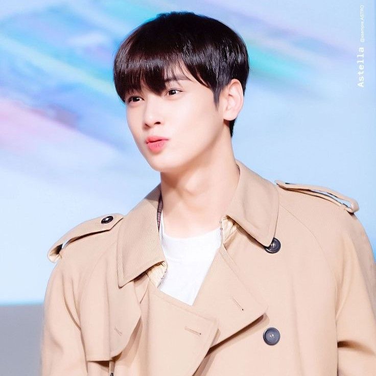 A moment captured by Eunwoo (ASTRO)'s fan