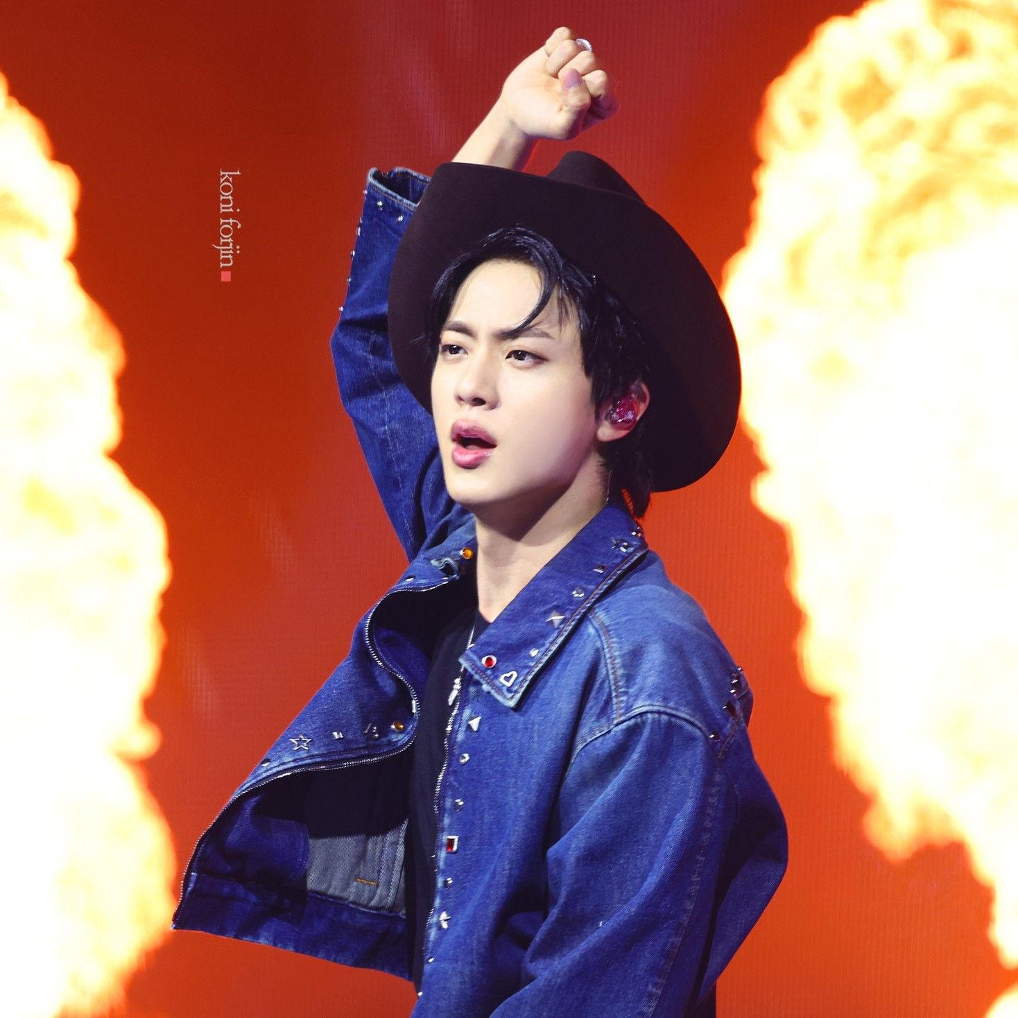 진 (방탄소년단) 팬이 찍은 순간