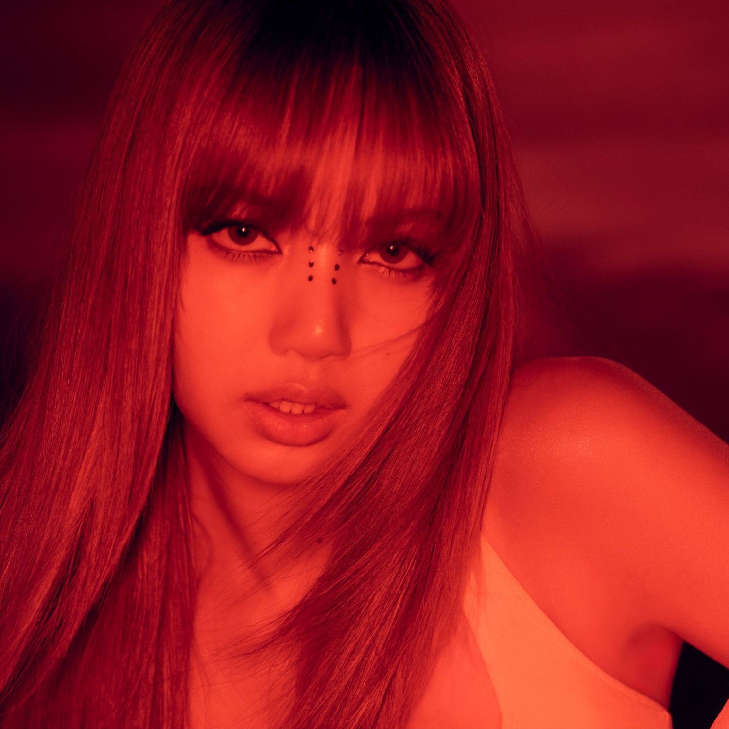 Momen yang diabadikan oleh penggemar Lisa (BLACKPINK)