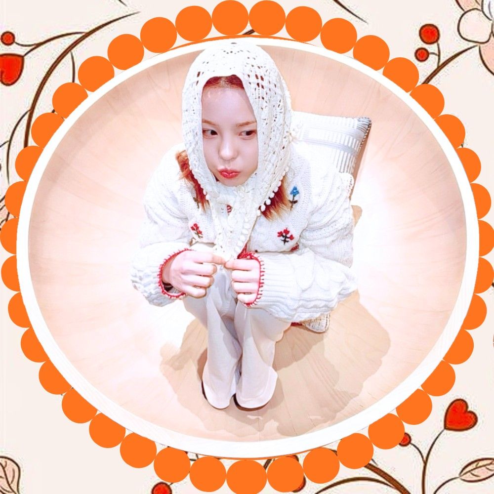 最愛ドルコミュニティの爆発的人気投稿