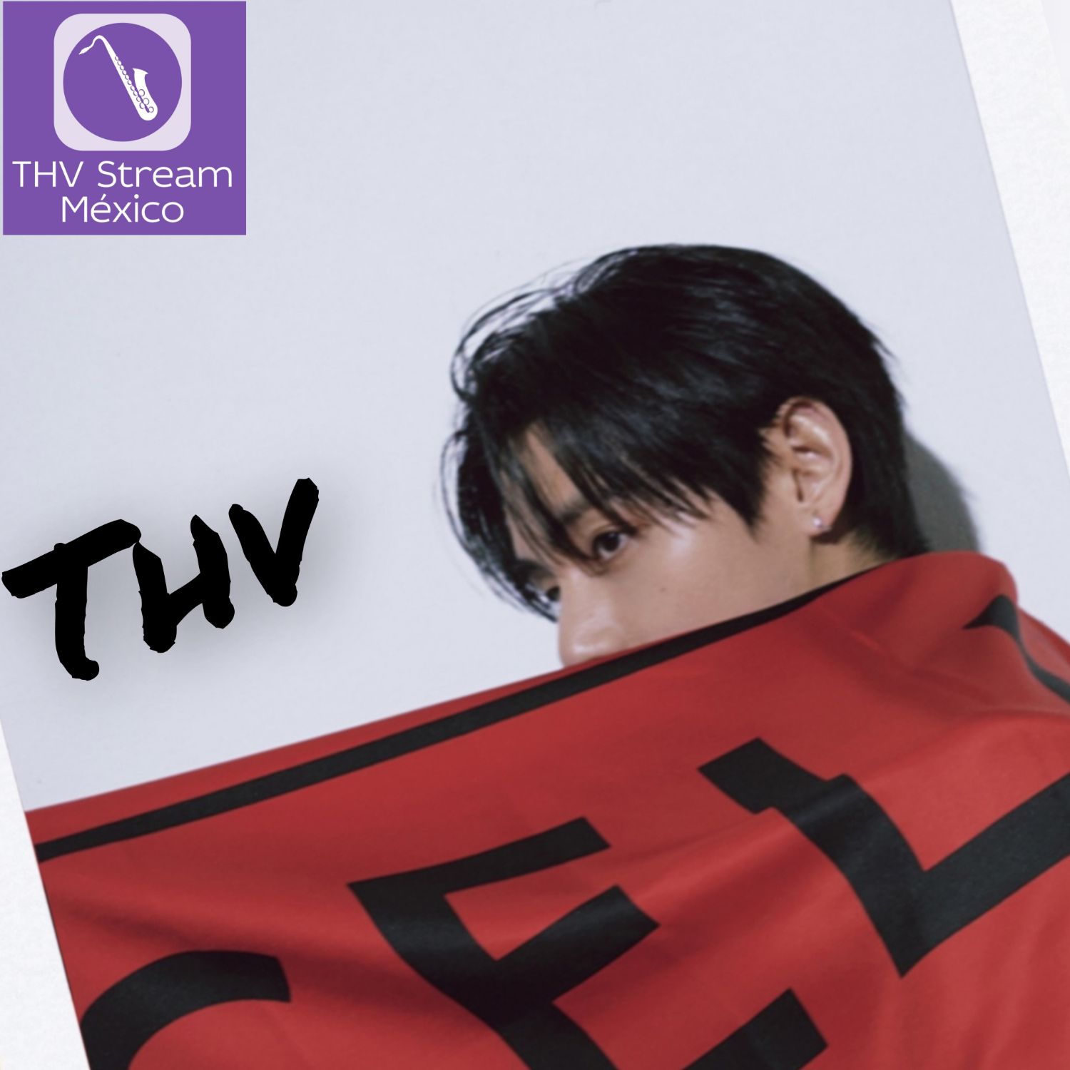 뷔 (방탄소년단) 팬이 찍은 순간