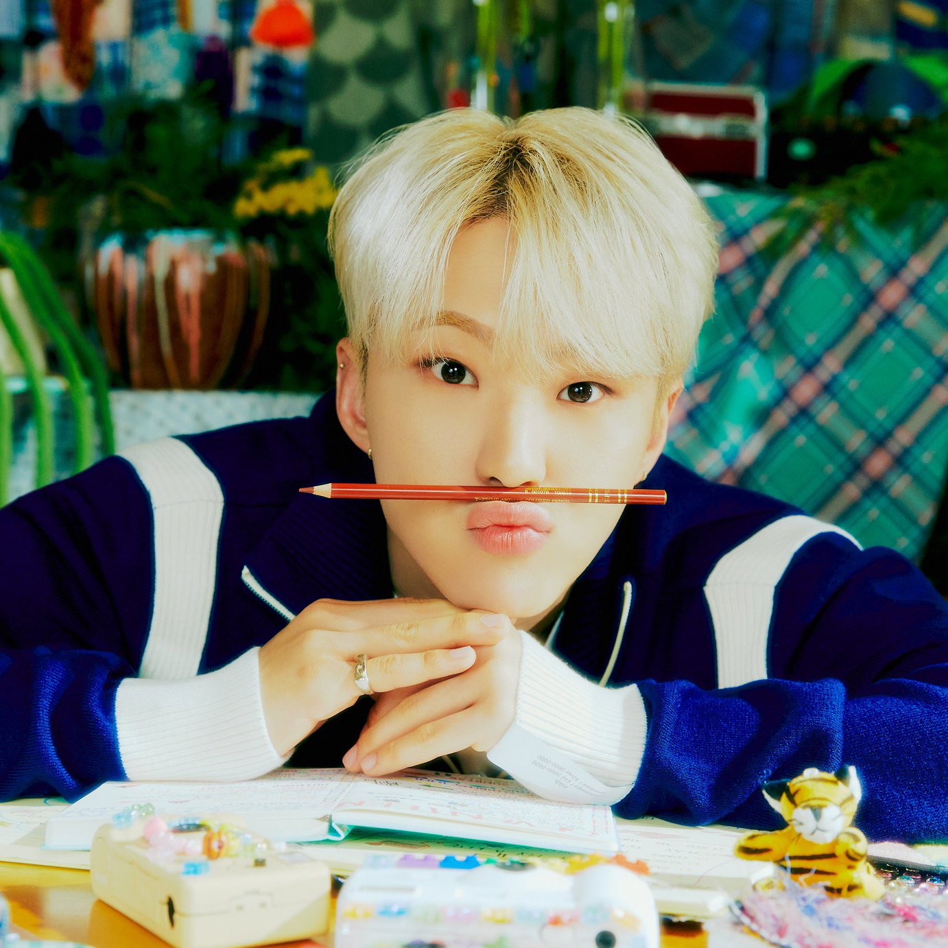 Momen yang diabadikan oleh penggemar Hoshi (SEVENTEEN)