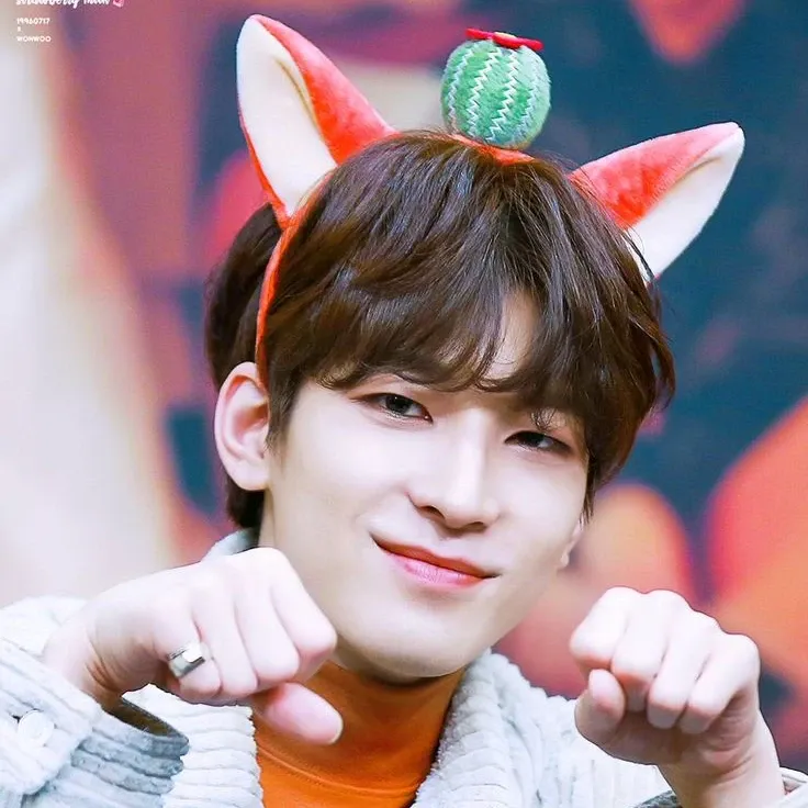 圓佑 (SEVENTEEN)粉絲拍下的瞬間