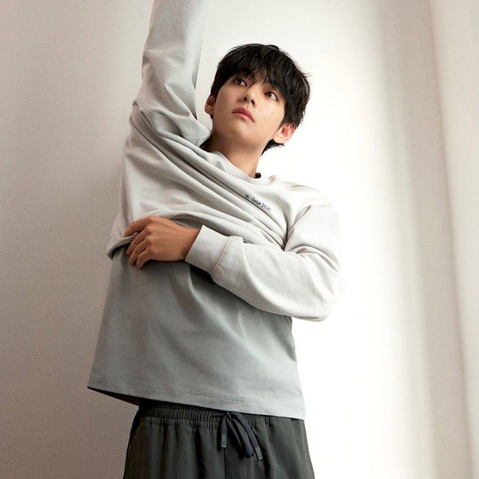 V (BTS)ファンが撮った瞬間