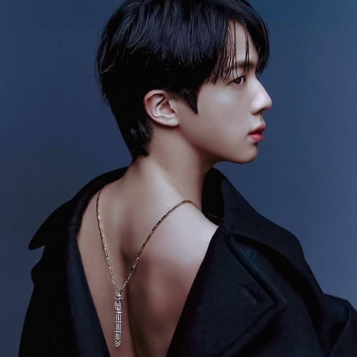 ジン (BTS)ファンが撮った瞬間