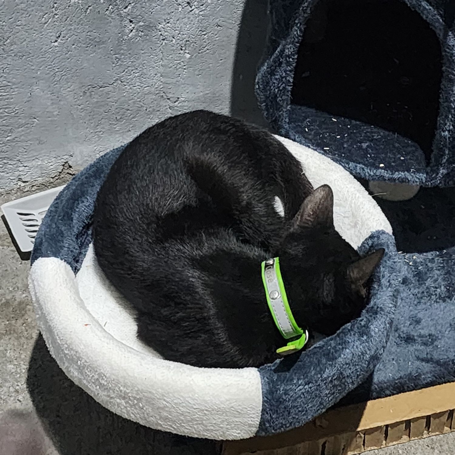 세븐틴 최근 활동샷