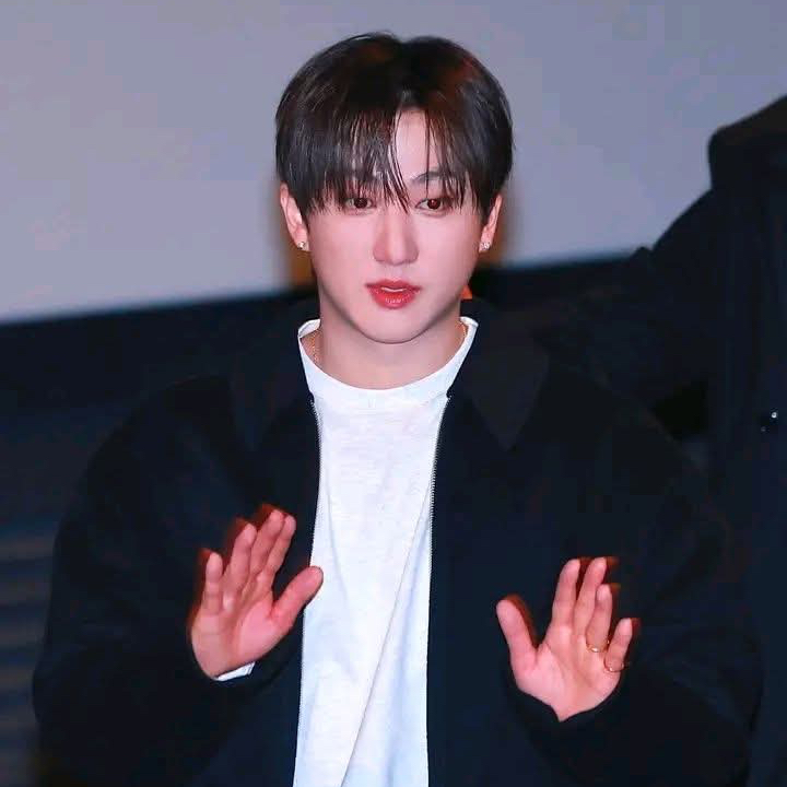 彰彬 (Stray Kids)的最新活动照片