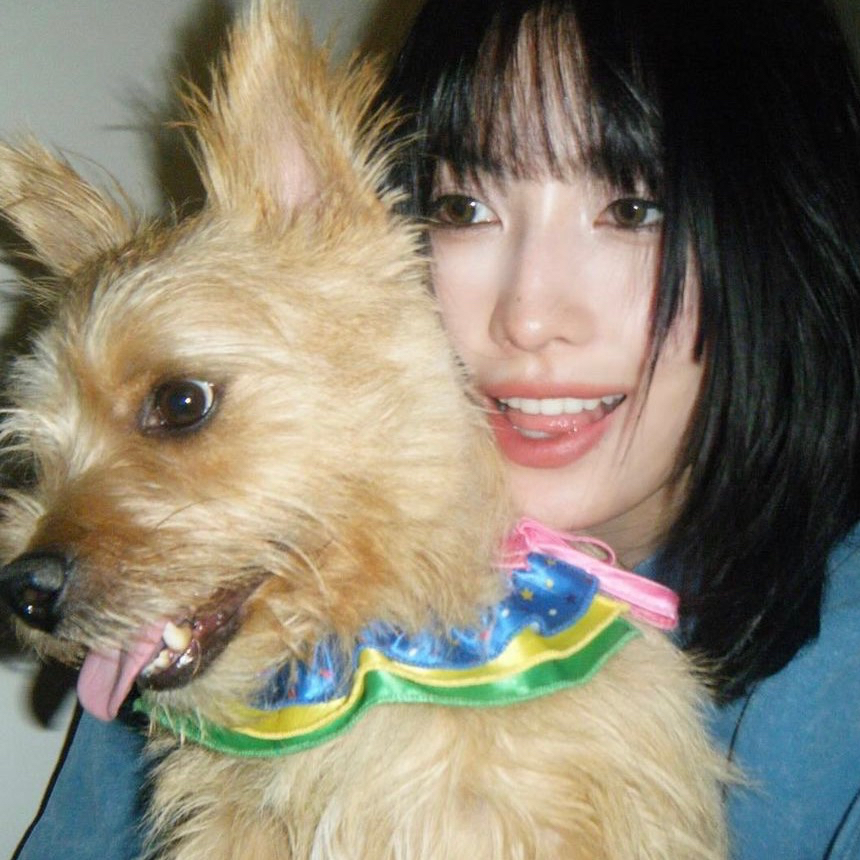 Behind-the-scenes cut of Momo (TWICE)