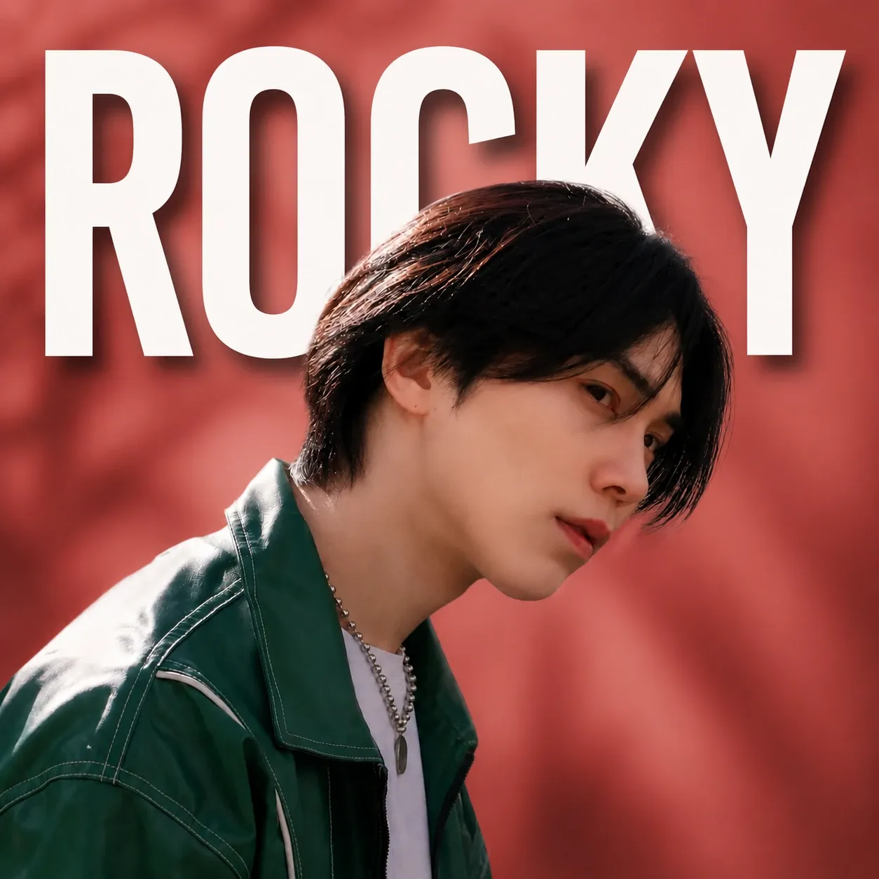 Recent activity shot of Rocky