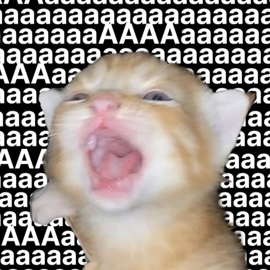 A moment captured by Yumeki's fan