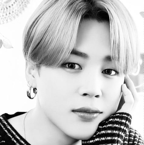 A moment captured by Jimin (BTS)'s fan