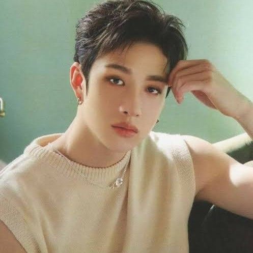 A moment captured by Bang Chan (Stray Kids)'s fan