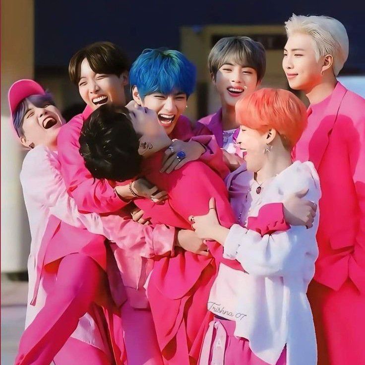 방탄소년단 팬이 찍은 순간