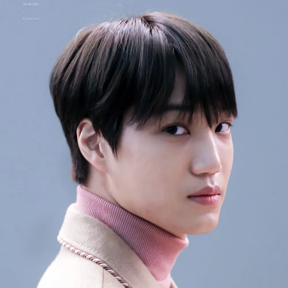 EXO 팬이 찍은 순간