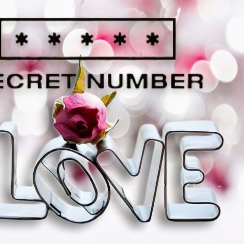 SECRET NUMBER의 최신 사진