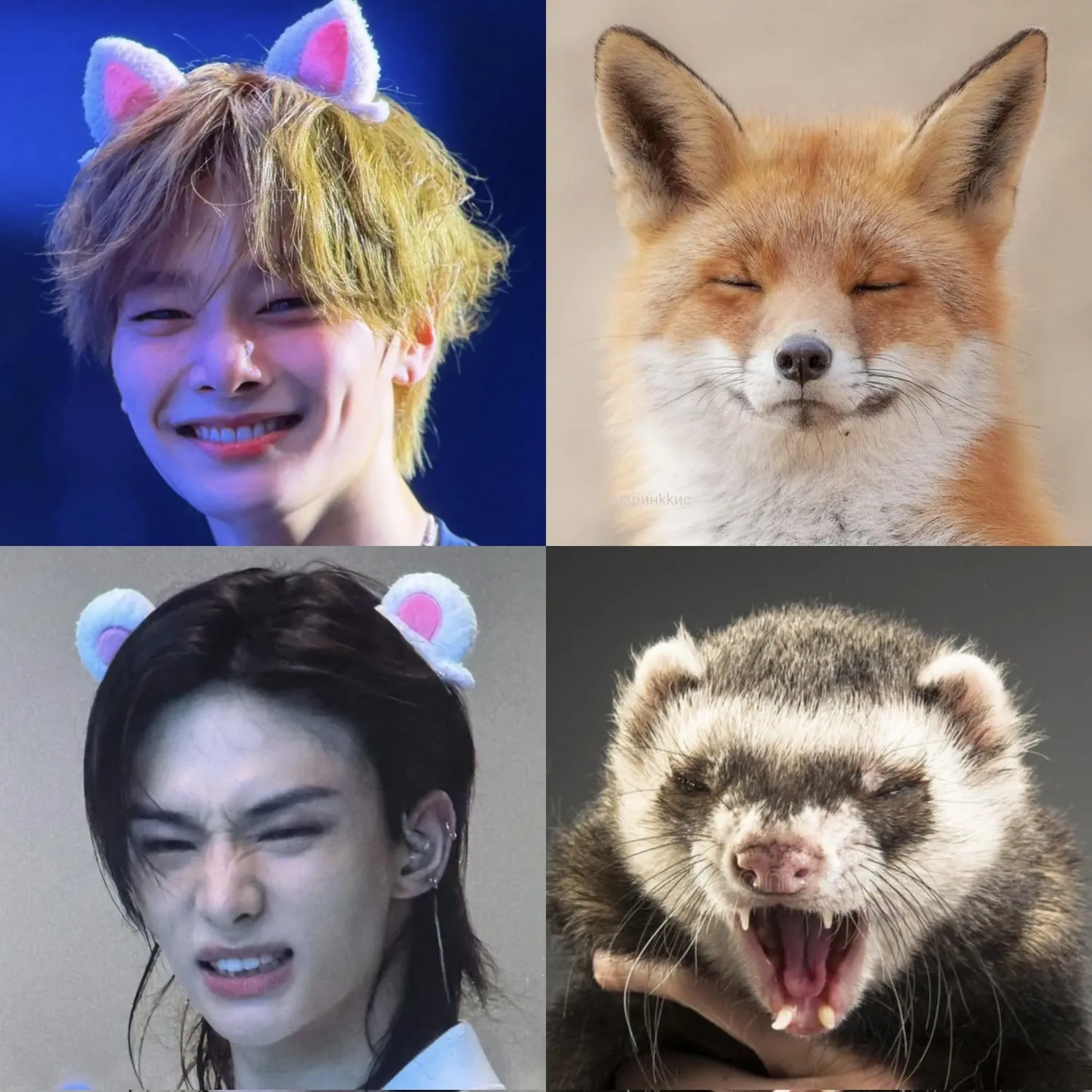 Foto aktivitas terbaru Stray Kids