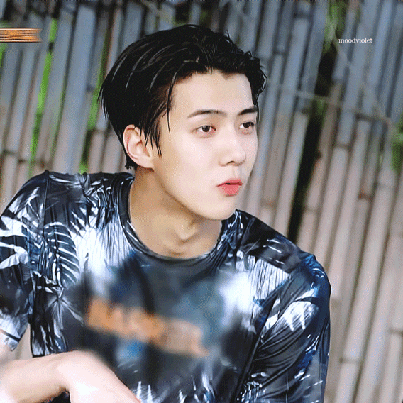 세훈 (EXO) 최근 활동샷