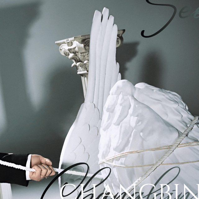 チャンビン (Stray Kids)ファンが撮った瞬間