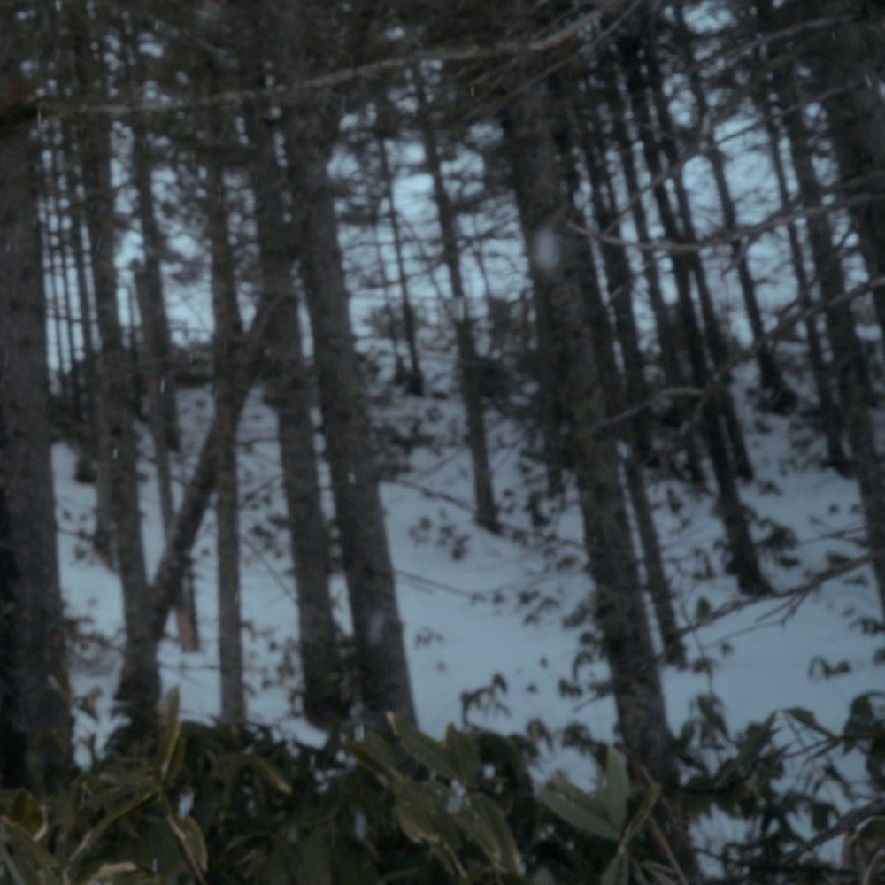 투모로우바이투게더 최근 활동샷