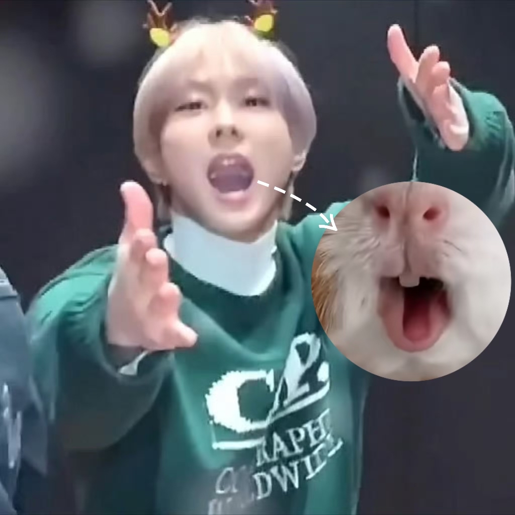 Recent activity shot of Jungwon (ENHYPEN)