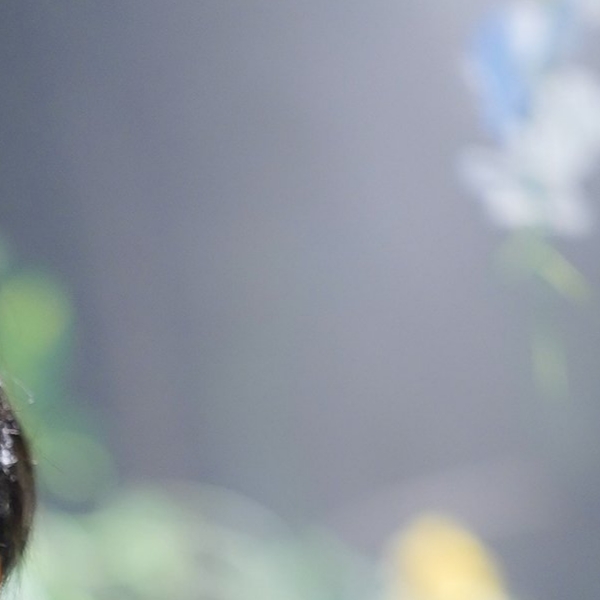 Recent activity shot of Jeong Yein (Lovelyz)