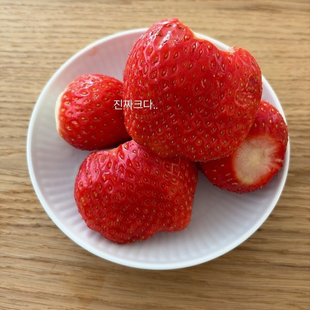 백현 (EXO) 최근 활동샷