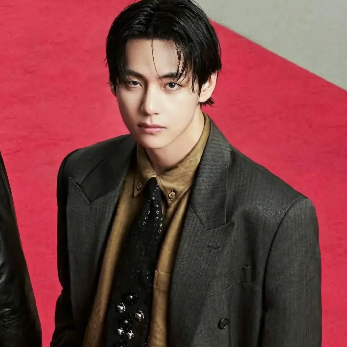 Behind-the-scenes cut of V (BTS)