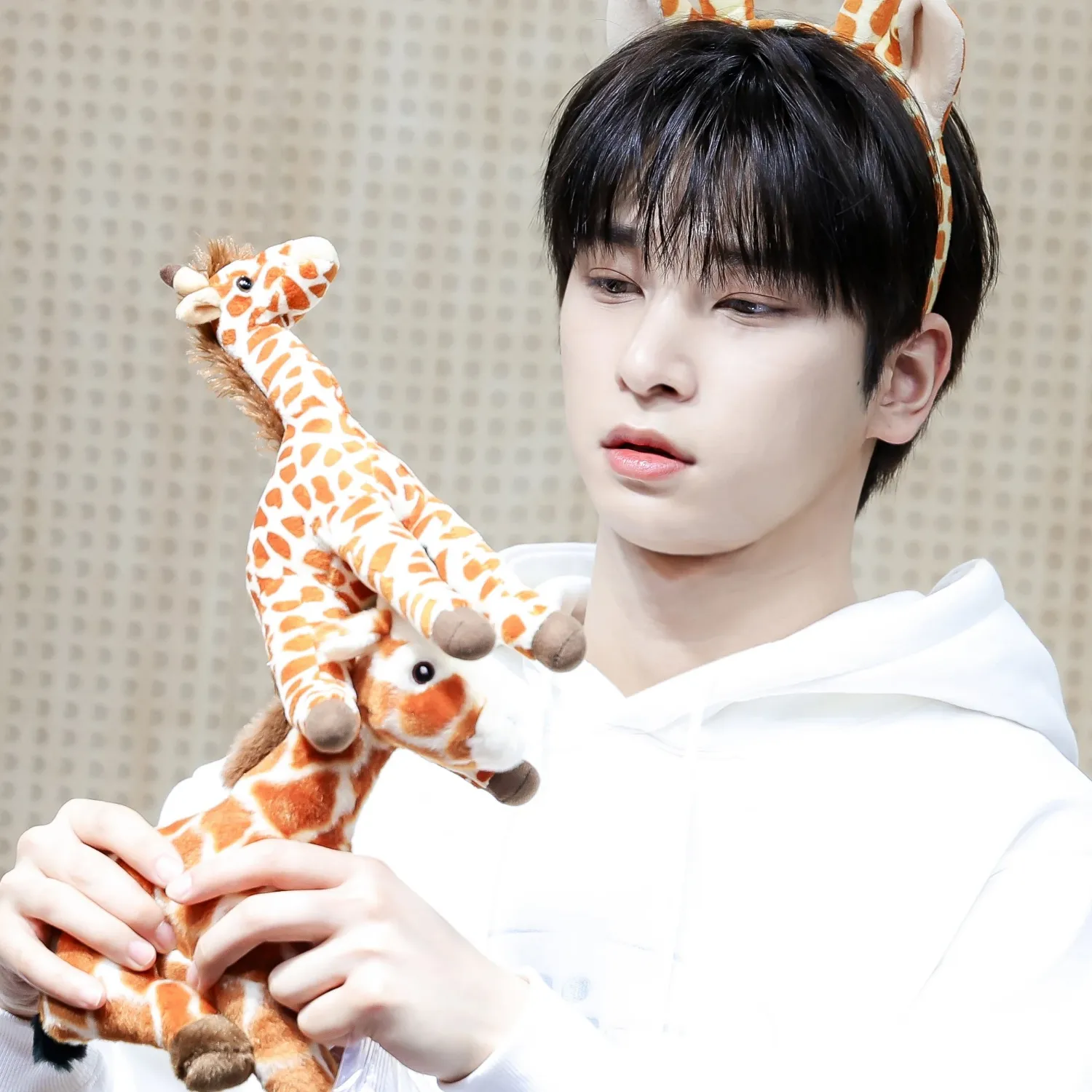 Latest photo of Hangyul (POLARIX)
