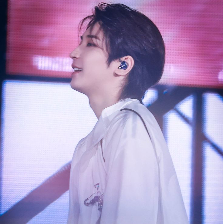 Recent activity shot of Wonwoo (SEVENTEEN)