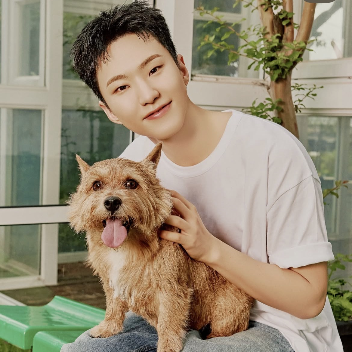 Recent activity shot of Hoshi (SEVENTEEN)