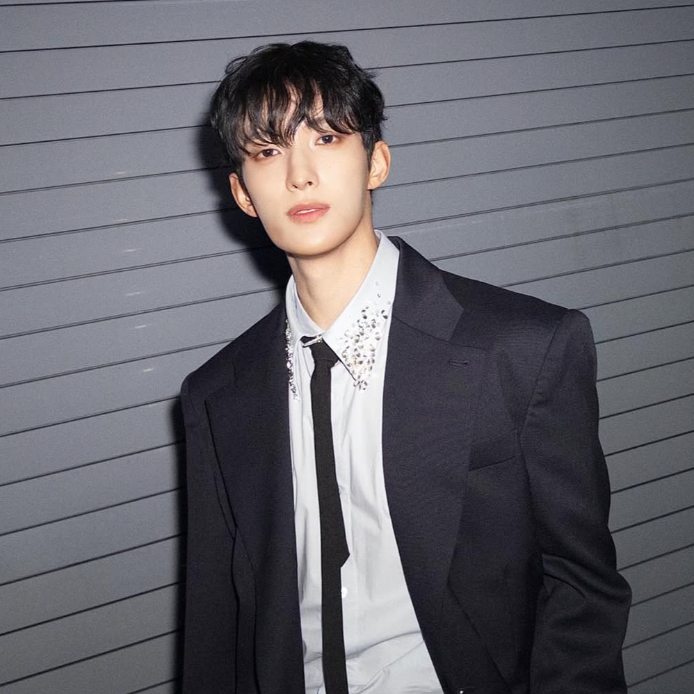 A moment captured by DK (SEVENTEEN)'s fan