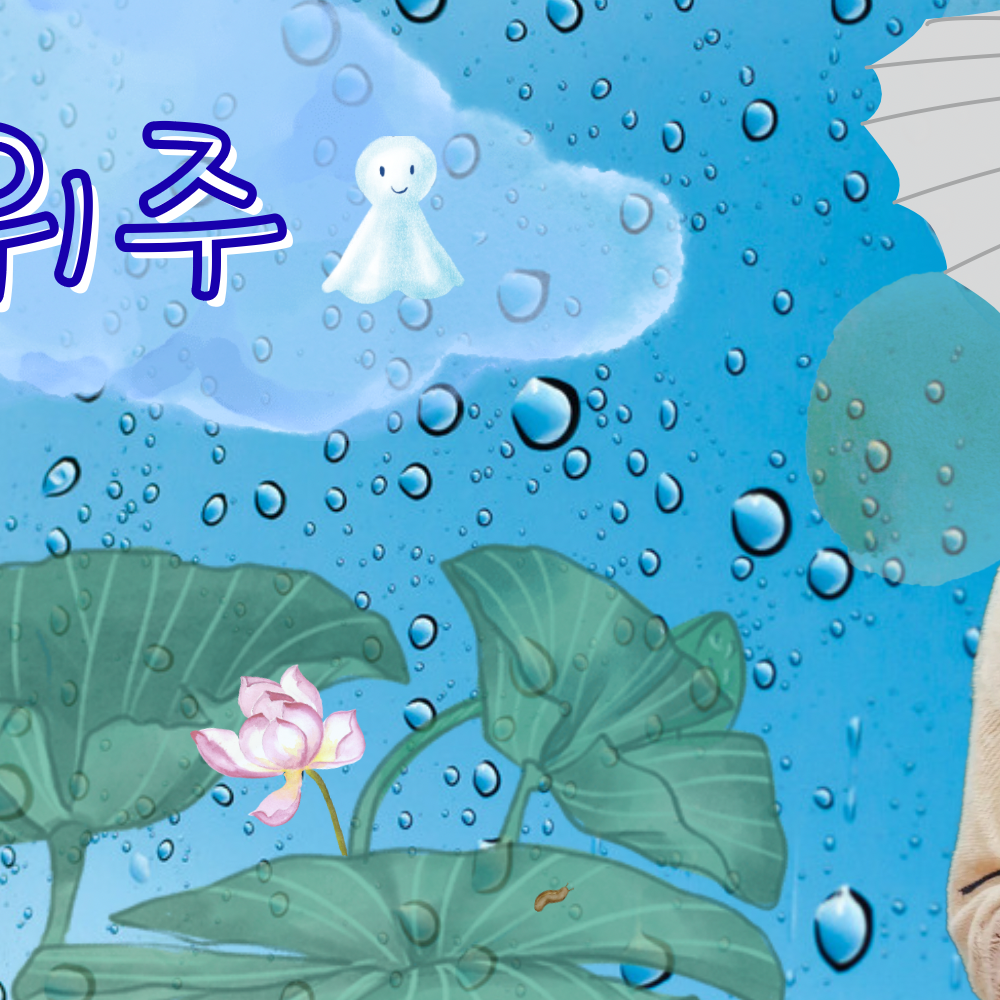 의주 (앤팀)의 최신 사진