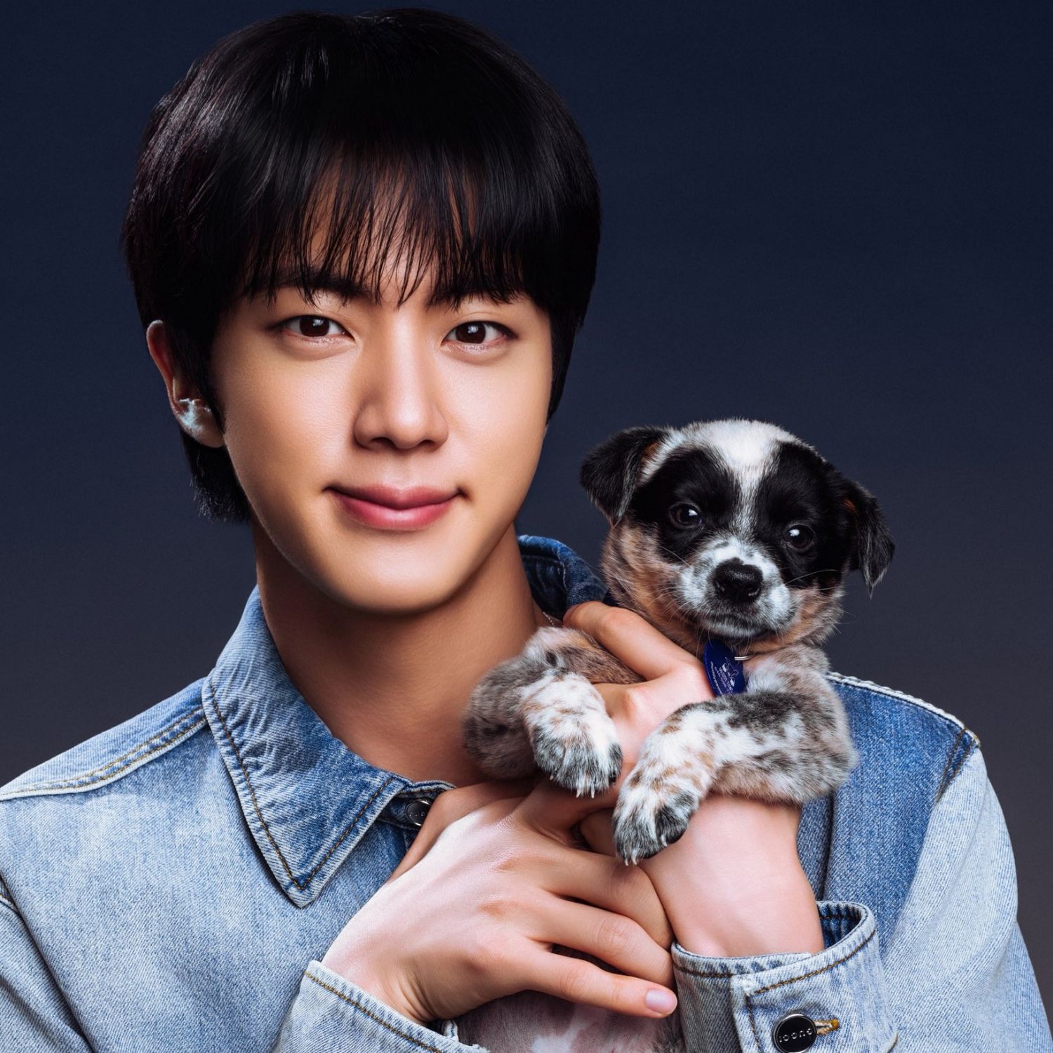 진 (방탄소년단)의 비하인드 컷