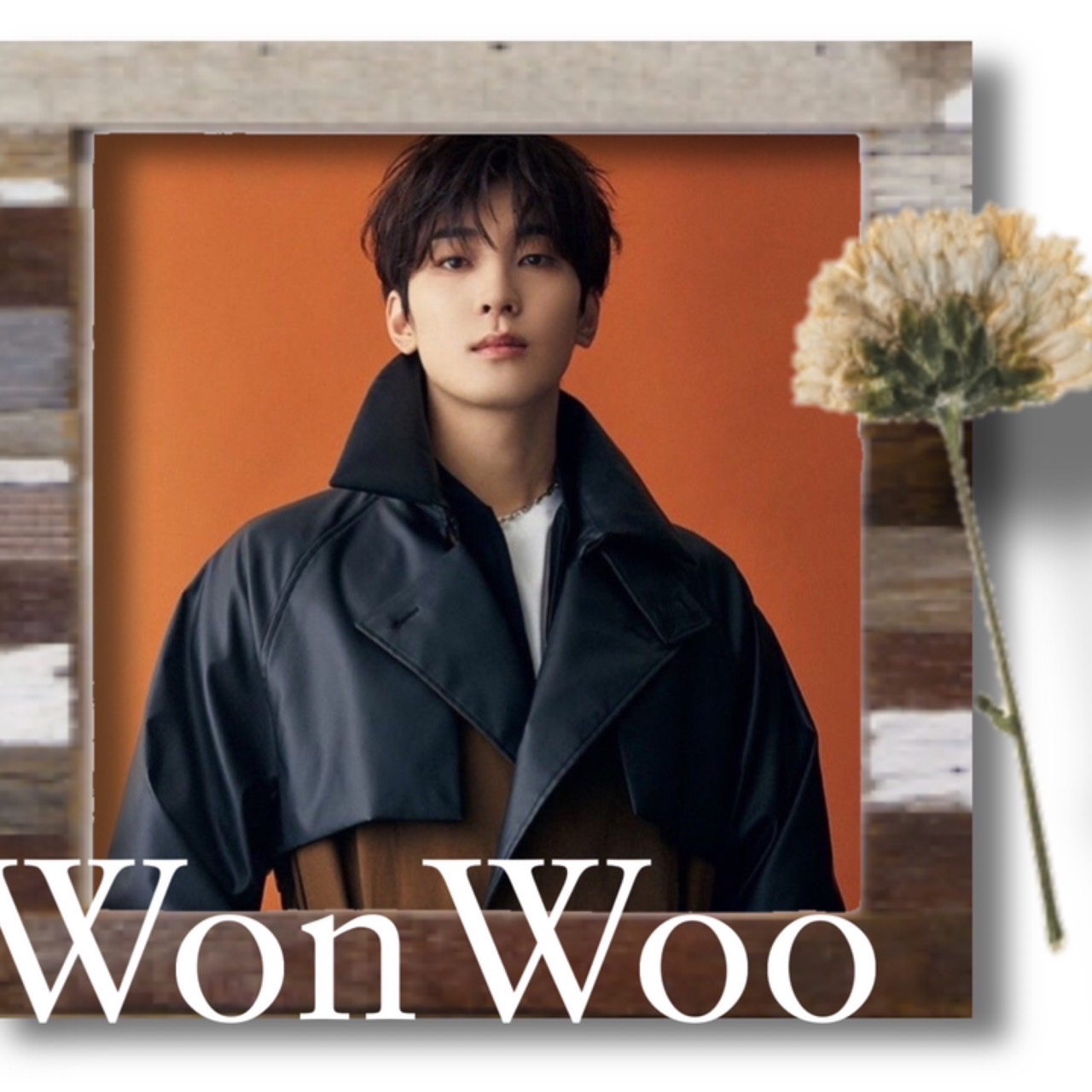 A moment captured by Wonwoo (SEVENTEEN)'s fan