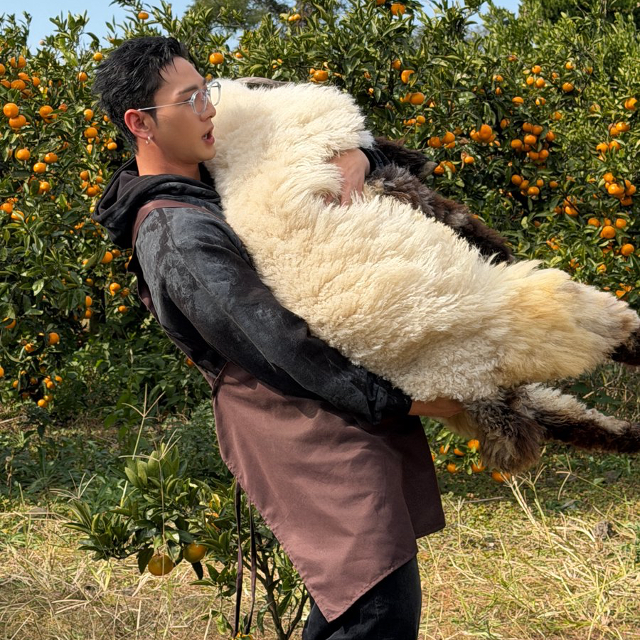 白虎的最新照片