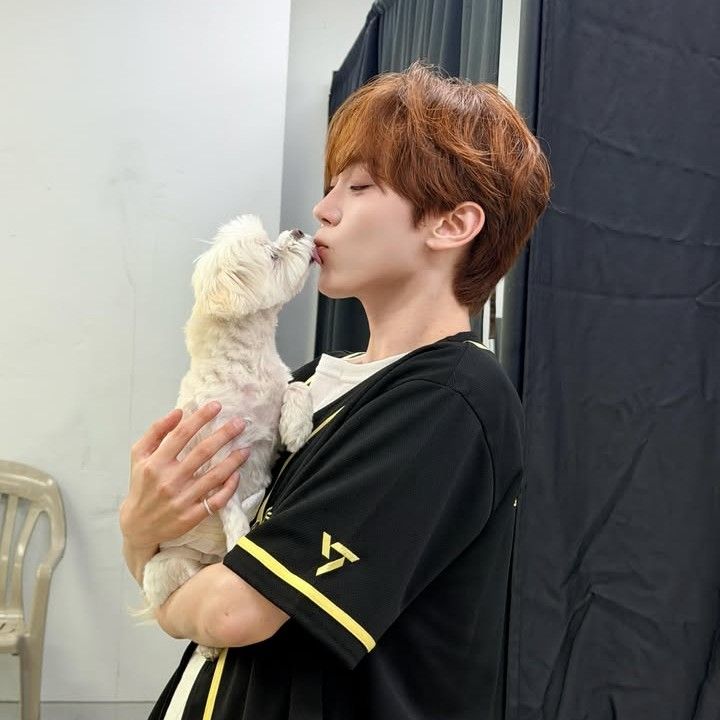 세븐틴 팬이 찍은 순간