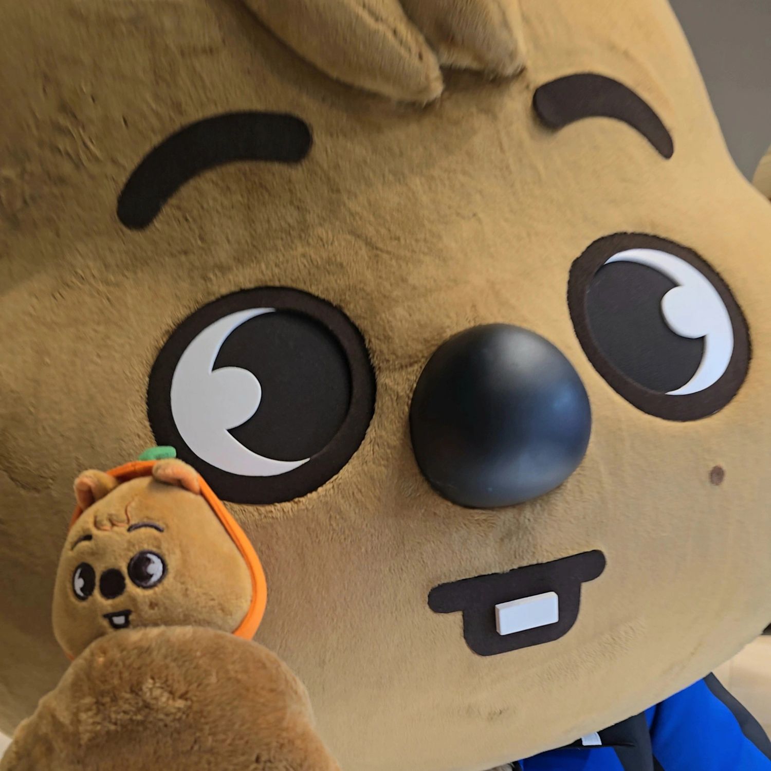 Stray Kids的最新活动照片