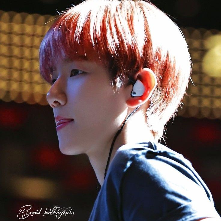 伯賢 (EXO)的幕後花絮