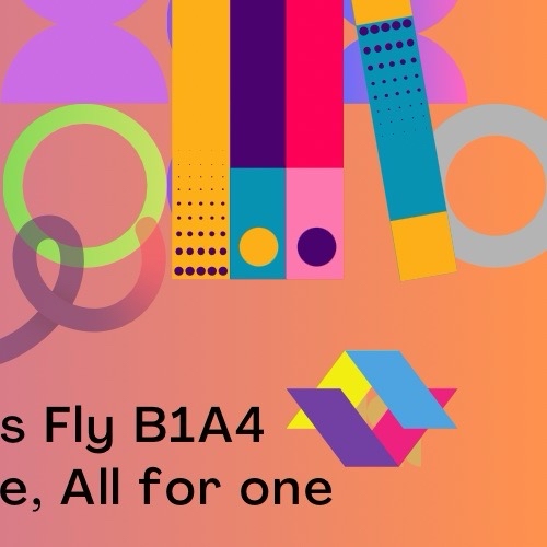 Recent activity shot of B1A4