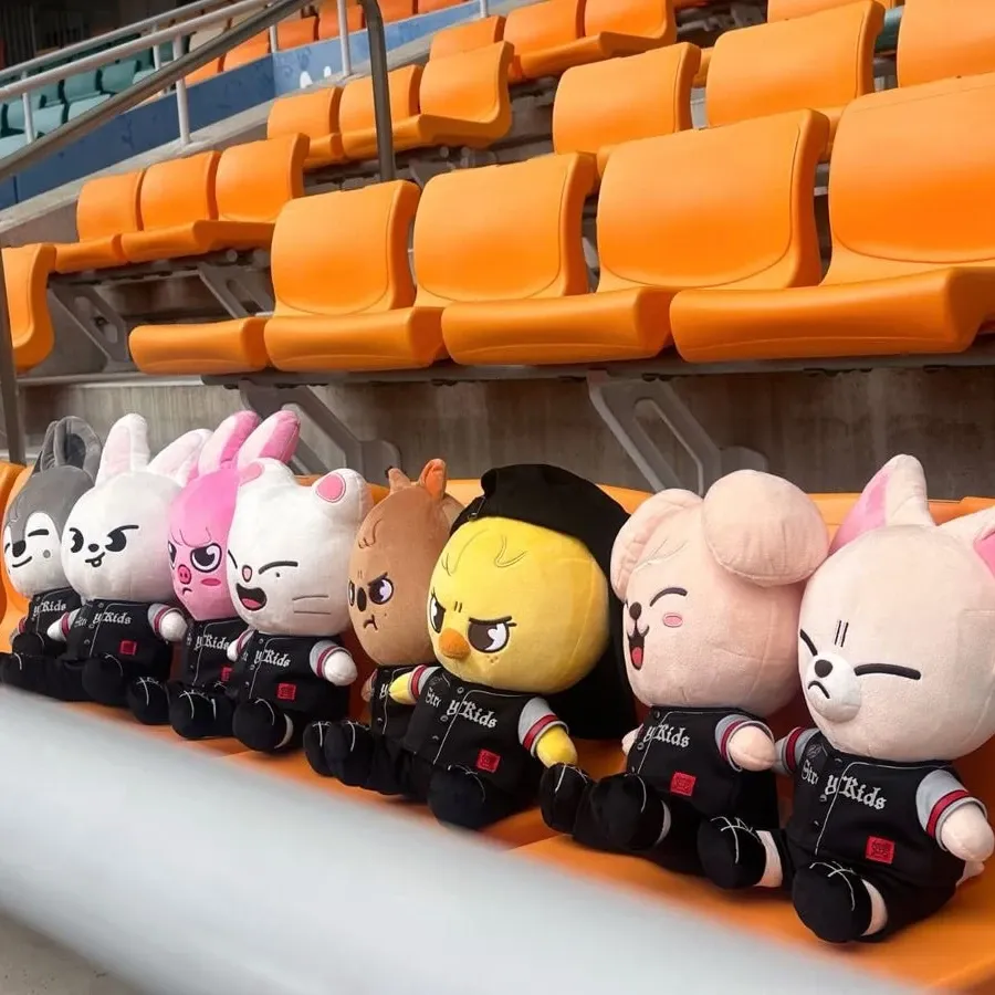 Momen yang diabadikan oleh penggemar Stray Kids