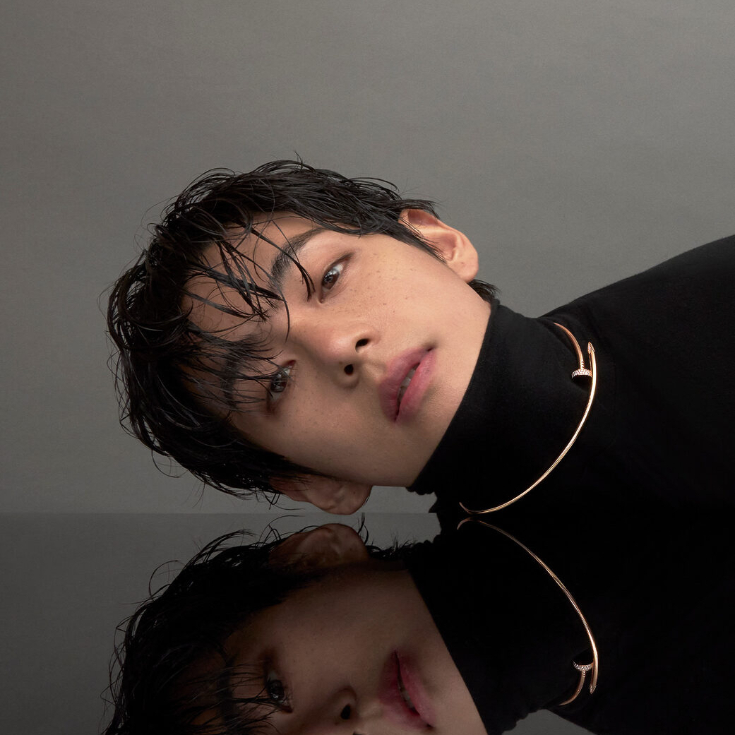 Potret di balik layar V (BTS)