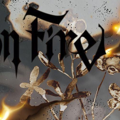 Recent activity shot of Maki (&TEAM)