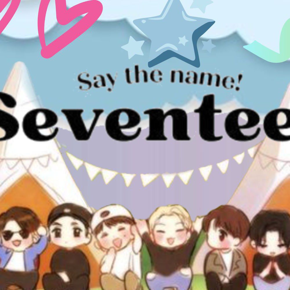 세븐틴 팬이 찍은 순간