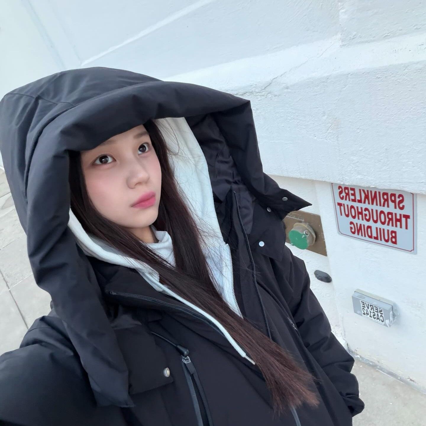 Potret di balik layar VIVIZ